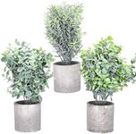 flybold Mini Fake Plants - Set of 3 Eucalyptus and Rosemary Greenery in Grey Pots - Lifelike Faux Indoor Décor for Office Desk, Living Room - Small Artificial Plants - Durable Material, (3.1x10.2 in)