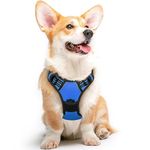 Eagloo Dog Harness No Pull, Walking Pet Harness with 2 Metal Rings and Handle, Adjustable Reflective Breathable Oxford Soft Vest Easy Control Harness for Small Medium Large Dogs, Blue, M