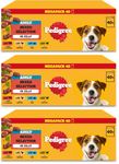 PEDIGREE Adult Dog Food Pouches Mixed Selection in Jelly 40 x 100 g Mega Pack (Pack of 3)