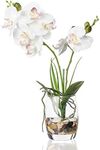 Jusdreen 1 Pcs Glass Vase Artificia