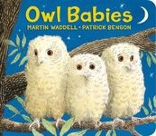 Owl Babies