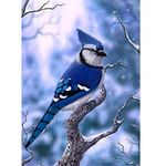 DIY 5D Diamond Painting by Numbers Kits, Blue Bird Winter, Full Drill Rhinestones Paint with Diamonds Crystal Diamond Art (Bird)