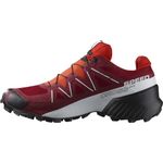 SALOMON Mens Speedcross Gore-tex Hiking Shoe, Red Dahlia White Black, 9 UK