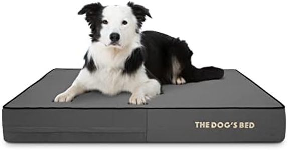 The Dog’s 
