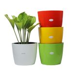 GREENON® 10 Inch Plant Pot Pack of 4 (8 Pots) | Self Watering Indoor Pot | Multicolour Outer Black Inner Flower Pot | UnFadable | Low Maintenance Gamla