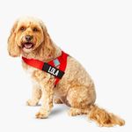 DF Co. Dog Harness | Chafe Resistan