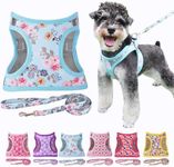 Moonpet Step in Air Dog Harness Lea