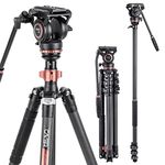 Cayer CF2451 Video Tripod, 67 inches Carbon Fiber Tripod Leg with Fluid Drag Head, 4-Section Compact DSLR Tripod Convertible to Monopod for DSLR Camera Camcorder