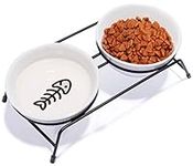 Cat Bowls, Upgraded 13 oz Ceramic E