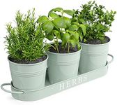Barnyard Designs Herb Pot Planter Set with Tray for Indoor Garden or Outdoor Use, Soft Mint Metal Succulent Potted Planters for Kitchen Windowsill, (Set of 3, 11 x 10cm Planters on 32 x 10cm Tray)
