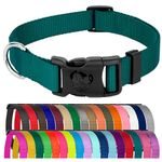 Country Brook Design - 33 Vibrant Colors - American Made Deluxe Nylon Dog Collar with Buckle (Large, 1 Inch Wide, Teal)