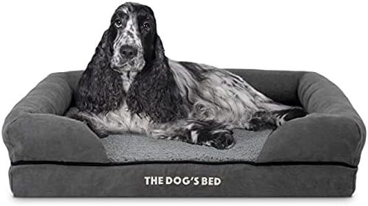 The Dog’s 