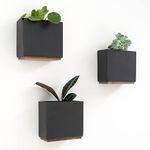 Kazai. Wall Planters -Alma- | 3 Resin Plant Holders for Modern Hanging Plant Display | Wall Planter Set for Indoor Plants, Artificial Plants and more | Black