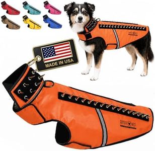 CoyoteVest SpikeVest Dog Harness Vest for Small Dogs, Reflective Dog Vest with Spikes to Shield Your pet from Coyotes, Raptor and Animal Attacks, Anti Hawk Vest, Made in USA (L-Fluorescent Orange)