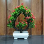 DECOGREEN, Multi Cherry for Home Office White Pot Money Plant Bonsai Decor Valentines Day Gift Living Room Tv Panel Table Interior Design Balcony Garden Indoor Outdoor (DHP RED, Ship Pot)