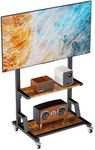 AENTGIU Rolling Tv Stand: Mobile TV