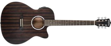 Washburn Deep Forest ACE, Ebony, (DFEACE)