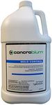 Concrobium Mold Control Pro, Gallon