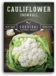 Snowball Cauliflower Seed for Planting - Packet with Instructions to Plant & Grow Amazing White Vegetables in Your Home Vegetable Garden - Non-GMO Heirloom Variety - Survival Garden Seeds