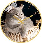 Stockyhut Non Ticking Silent Wall Clock | Classic Battery Operated Wall Clock for Kitchen,Office and Living Room | Home Decorative Art Collection(Golden Frame) (Cute Cat Clock)