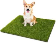 CooRug Artificial Grass, 30 x 18 Inches Fake Grass for Small Dogs, Reusable Dog Grass Pee Pads with Drainage Holes for Dog Potty Training Outdoor Indoor Door Mat Decoration