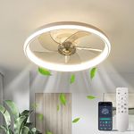 Ceiling Fan For Home