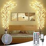 Minetom Enchanted Willow Vine Lights with Remote, Warm White and Multicolor Lights, Christmas Indoor Wall Lights Branches Lights, Home Decor for Walls in Living Room, Bedroom, Party (1pcs)