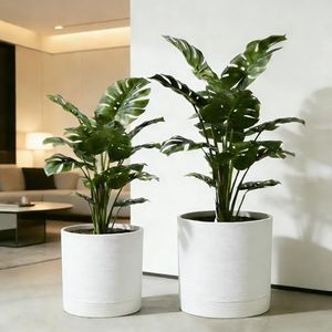 GreenShip Planter Set of 2 (13.8" & 11.8") – Cylinder Planters with Drainage Hole and Planter Saucer, Jun Porcelain Clay & Recycled Resin, Decorate Home,Office & Outdoor,White pots