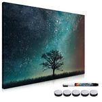 Navaris Magnetic Whiteboard Memo Board - 40 x 60 cm Writable Dry Erase Notice Message Board for Wall with Magnets and Marker - Starry Sky and Tree