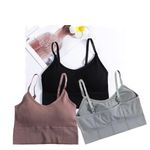 Acnos Black Pink Grey Women Cotton Padded Wire Free Sports Bra Fitness Yoga Gymwear Fashionable Lifestyle Outdoor Life Free Size Pack of 3