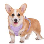 BARKBAY No Pull Dog Harness Large Reflective Dog Harness with Front Clip and Easy Control Handle for Walking Training Running with ID tag Pocket(Violet Purple,M)