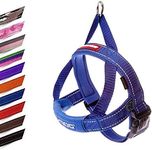 EzyDog Quick Fit Dog Harness - Premium Padded No-Pull Harness, Blue, Medium