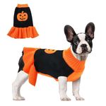 NACOCO Halloween Dog Sweater Dress - Pet Pumpkin Knitted Clothes Cat Sweatshirt Soft Thick Winter Warm Knitwear Outfits Apparel for Small Medium Large Dog Cat (Orange, S)