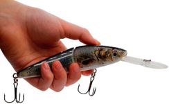 5.5" Jack The Ripper Suspending Jerkbait Bass Fishing Lure Bait Life-Like Diving Deep Trout Shad (Gizzard Shad)