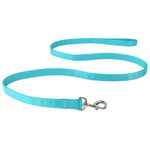 Coastal Pet Double-Ply Dog Leash - Bolt Snap Attachment to Collars and Harnesses - Nylon Dog Walking Leash for Small, Medium and Large Dogs - Teal - 1" x 6'