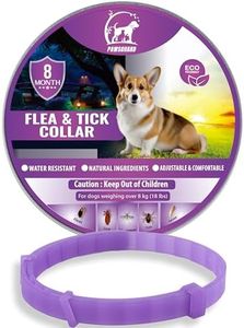 Dog Repell