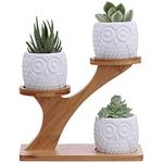 3pcs Owl Succulent Pots with 3 Tier Bamboo Saucers Stand Holder - White Modern Decorative Ceramic Flower Planter with Drainage - Home Office Desk Garden Mini Cactus Plant Pot Indoor Decoration