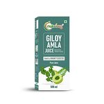 Nutriorg Giloy Amla Juice 500 ml | Boost Immunity | Detoxification | Energy Buster | No Added Sugar