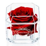 Eternal Petals A 100% Real Rose That Lasts Years, Handmade in London, Flowers Delivery Next Day Prime UK – White Gold Solo (Deep Red)