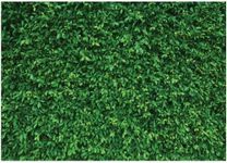 LYWYGG 7x5FT Green Leaves Photography Backdrops Mmicrofiber Nature Backdrop Birthday Background for Birthday Party Seamless Photo Booth Prop Backdrop CP-87