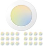 Amico 24 Pack 5/6 Inch LED Disk Lig