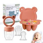 LittlesJoy infant baby fruit feeder & food feeder pacifier , BPA FREE toddler teeting relief teether, baby breast milk popsicel mold for purees, baby silicone food freezer cube tray , 2pcs additional pouches (muted)