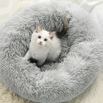 Cat Beds For Indoor Cats