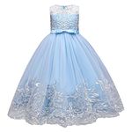 IWEMEK Embroidery Flower Girls Sleeveless Applique Lace Tulle Princess Dress Bridesmaid Wedding Birthday Pageant Party First Communion Kids Prom Dress Maxi Long Ball Gown #A: Light Blue 2-3 Years