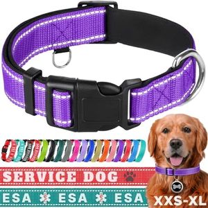 TECEUM Reflective Pet Collar – Purple – L – Extra Soft Padding – Basic Nylon Dog Collar – Quick Release Buckle – Fits Small, Medium and Large Dogs, Puppies, Cats – ESA & Service Dog Options