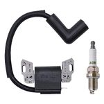 593872 Ignition Coil Magneto Armature fits for Briggs & Stratton 84005272 799582 798534 595009 799934 Compatible with B&S 08P502 09P602 09P702 Lawn Mower Engines with Spark Plug