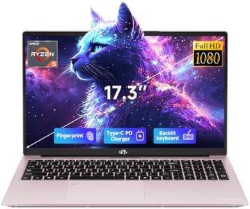 NIMO 17.3" Laptop for Business, AMD Ryzen 5 6600H (Up to 4.5GHz)