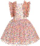 Girls Birthday Party Dress Butterfly Daisy Polka Dots Embroidery Princess Tulle Wedding Pageant Evening Gown, Rainbow Polka Dots, 4-5 Years