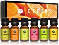 P&J Trading Citrus Set of 6 Fragran