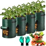 twirush Potato Grow Bags, 4 Pack 10 Gallon Potato Growing Bags Waterproof PE, Vegetable Plant Growing Bags with Visualized Flap and Handles, Garden Plant Grow Bags for Tomato, Potato, Carrot